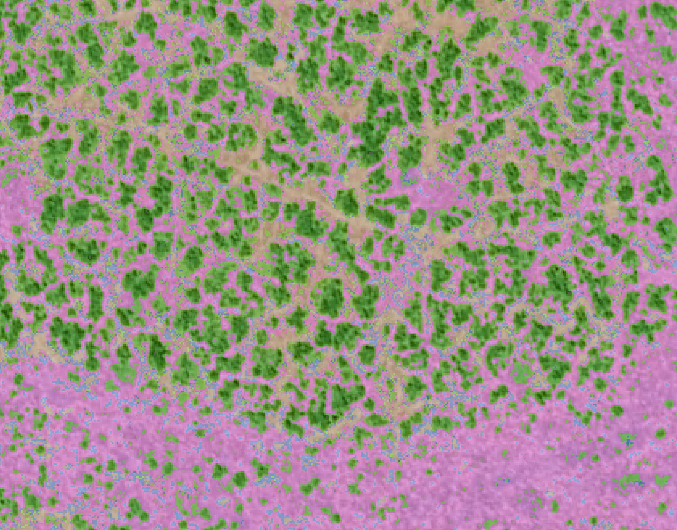 Up close prediction overlaying the raw imagery