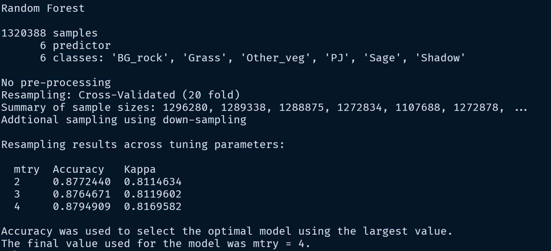 Model Summary Example