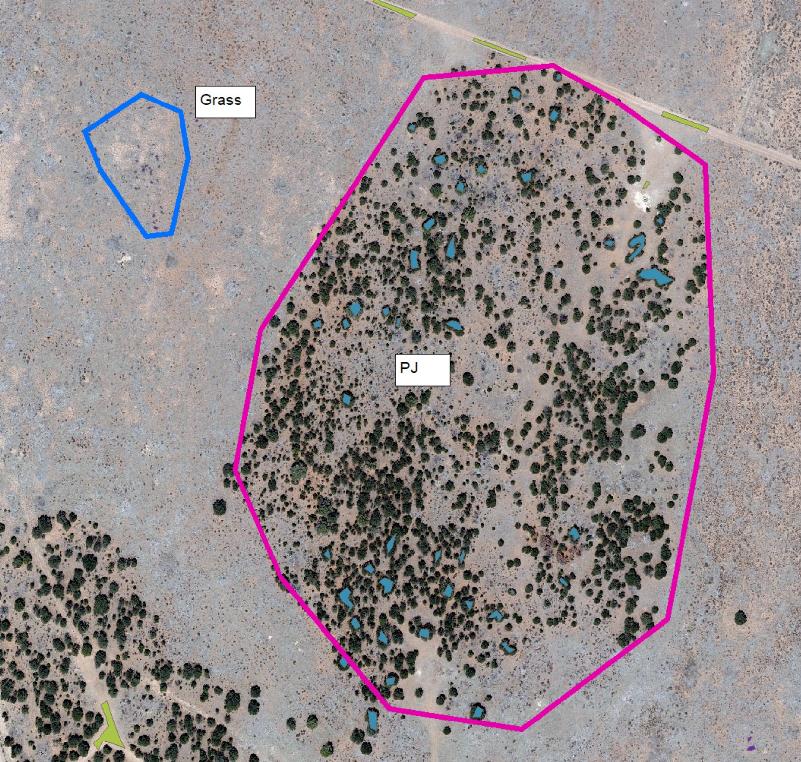 Example of training polygons on raw imagery