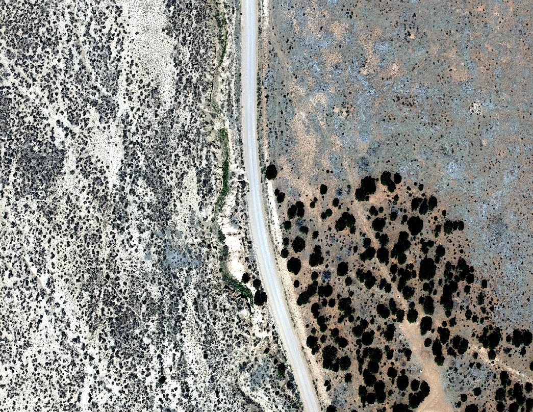 Ortho Imagery of the area classified above