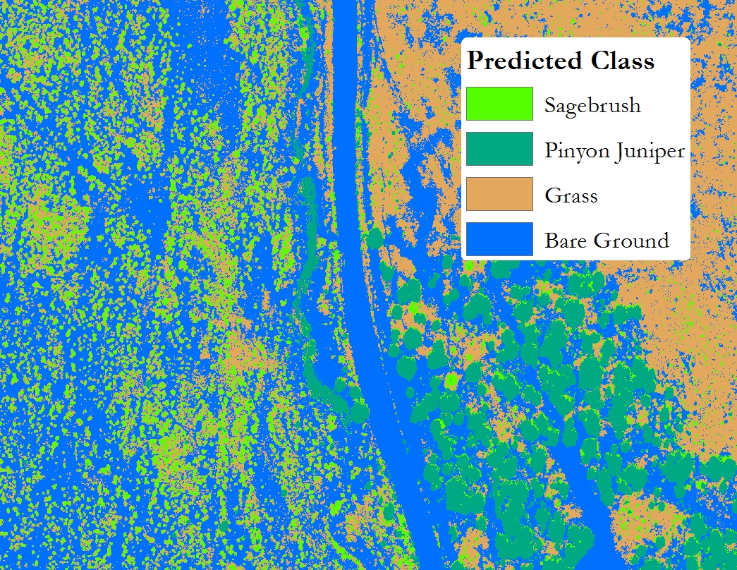 Raster Image of vegetation classified into sagebrush, pinyon/juniper, bare ground and grass.