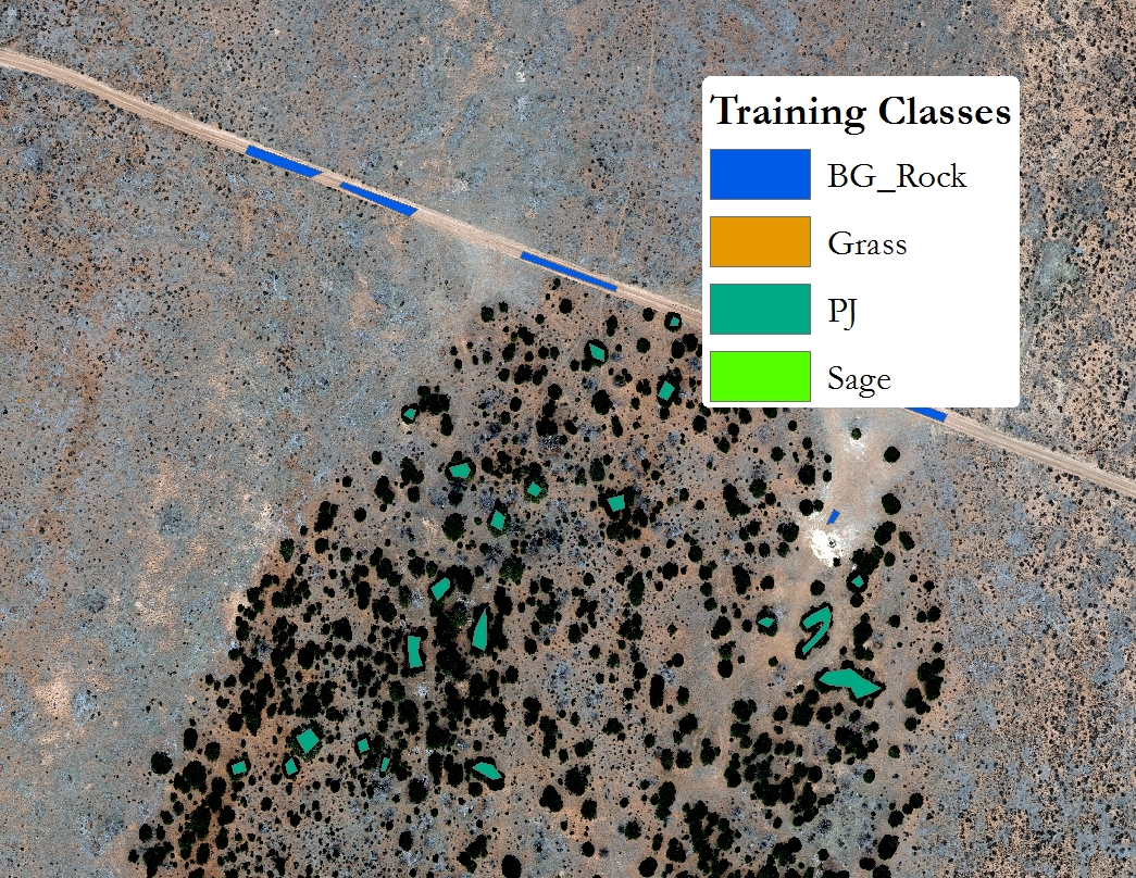 Some examples of the training polygons used to train the model.